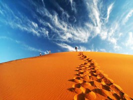 Morocco sahara desert
