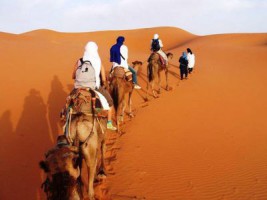 camel excursions in Merzouga